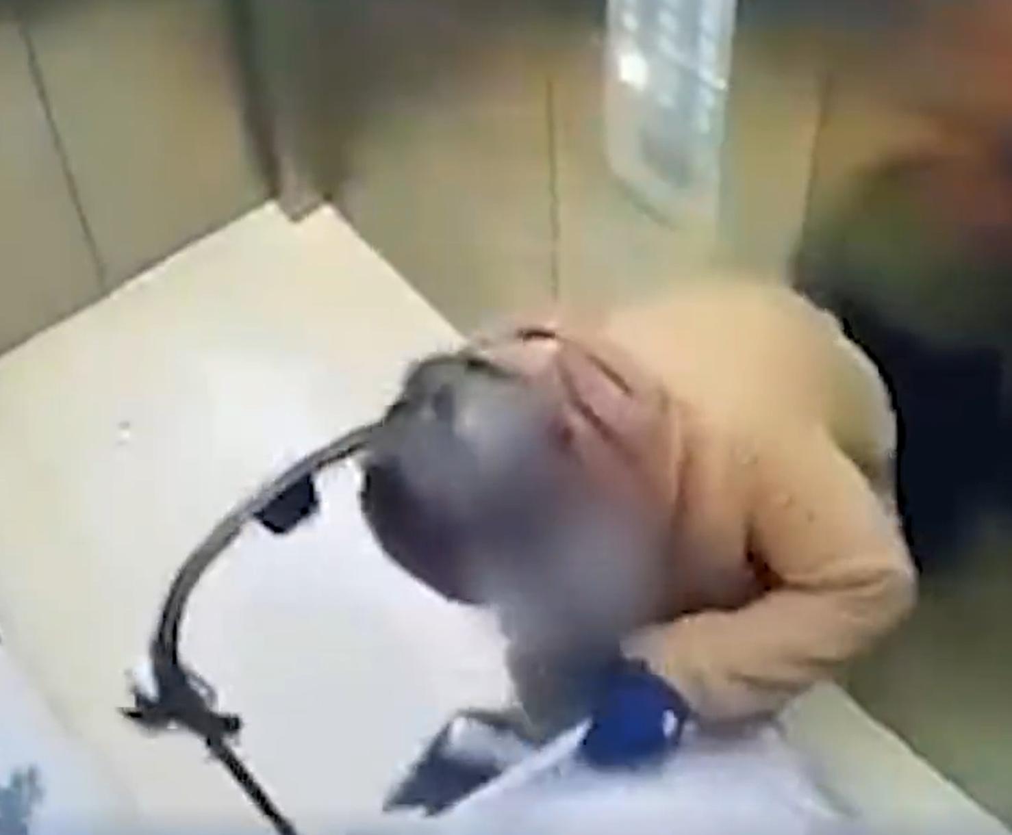 育儿嫂电梯内暴打一岁半宝宝,育儿嫂电梯暴打一岁半宝宝