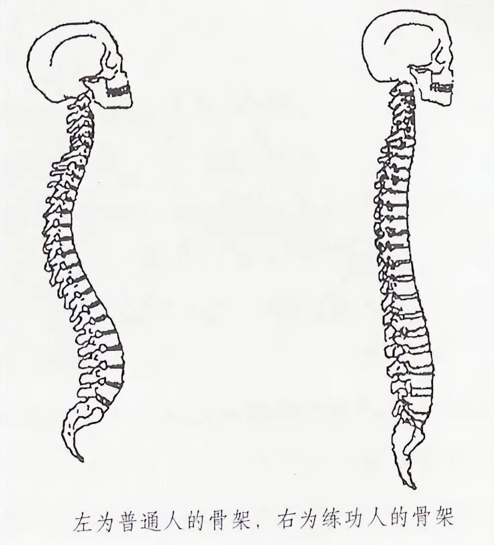 站桩如何开肩开胯,请问站桩功的起势是如何开势的