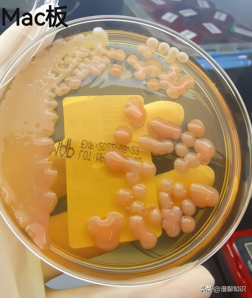 老年人得了肺炎应如何有效医治,肺炎有多严重怎么办