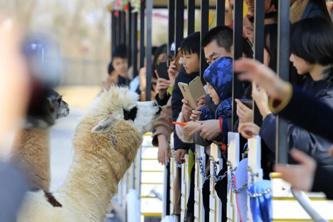 济南周边冬季自驾游去哪里好玩,济南旅游攻略五日游最佳路线