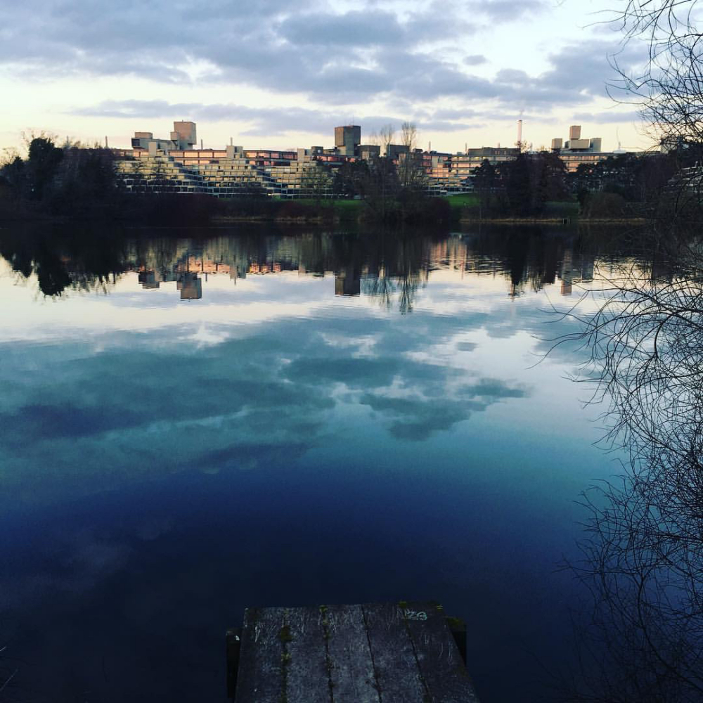 英国东英吉利大学24年世界排名,东英吉利大学世界大学