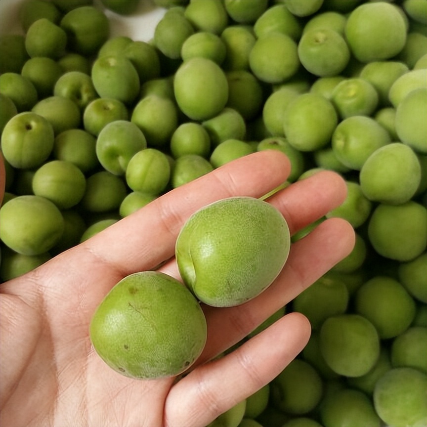芒种节气煮青梅,芒种煮青梅习俗