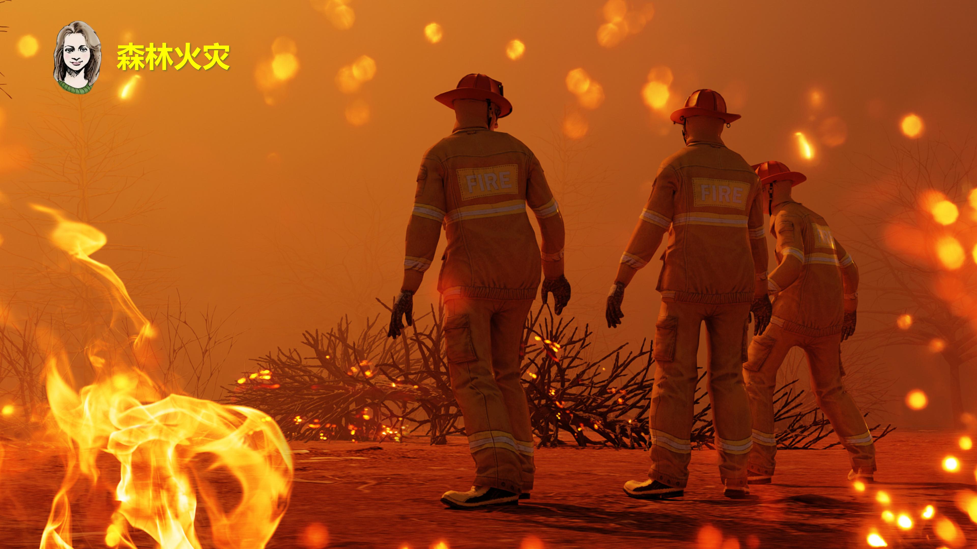 七年级下册地理第九章第二节巴西,七年级下册地理巴西2