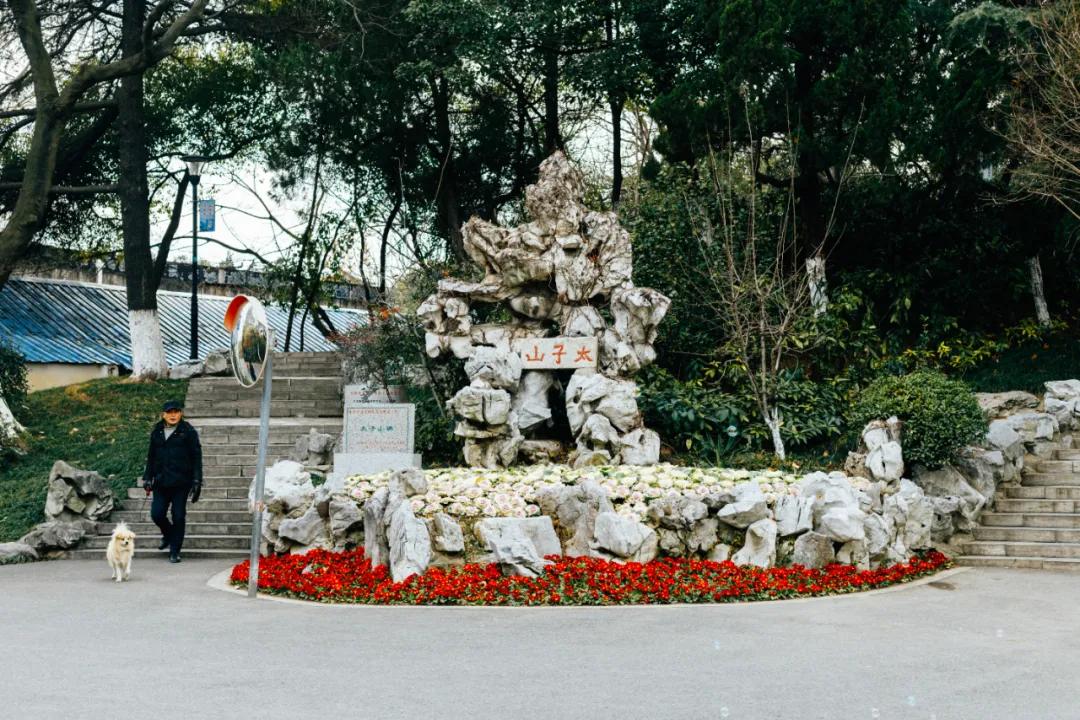 *京大南**厂不是大厂，但大厂是真的大