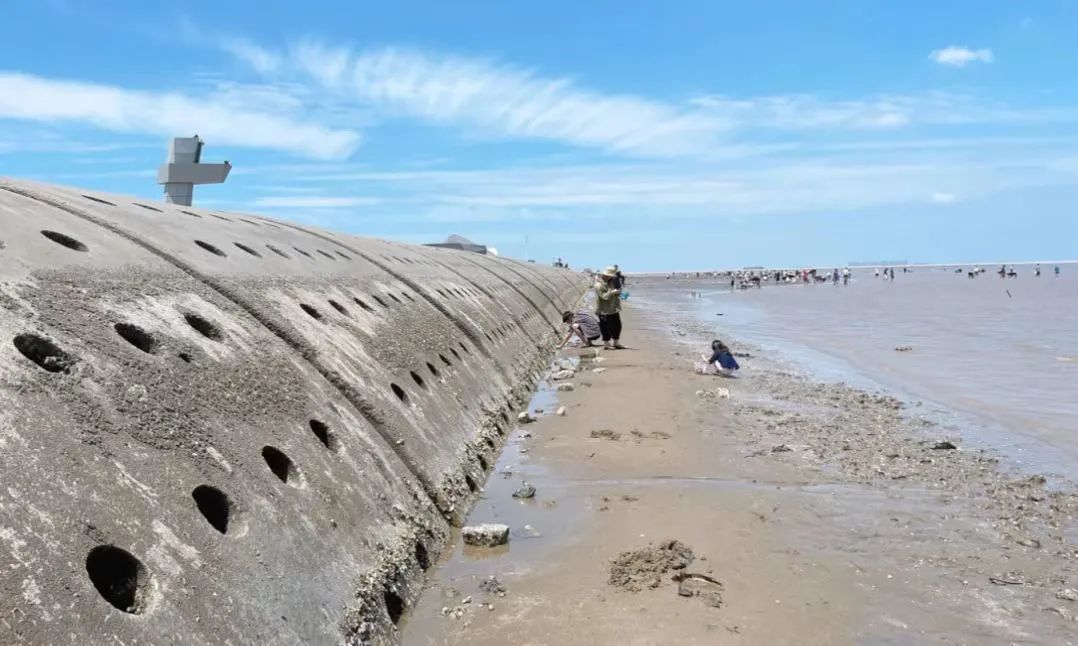 天津冬季遛娃,天津遛娃的免费公园
