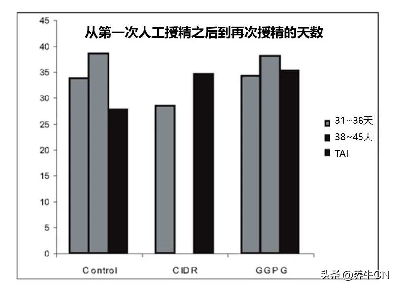 追溯根源：发情监测仍是让奶牛受胎的最佳工具