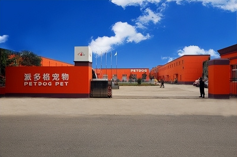 宠物行业人才招聘,派多格宠物店宠物