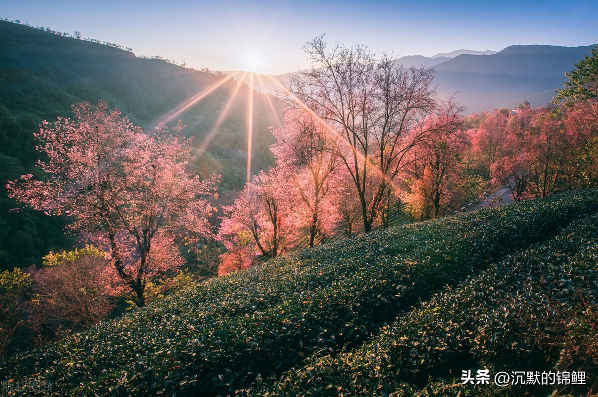 一篇云南景点游记600字,一篇完整的云南自驾游攻略