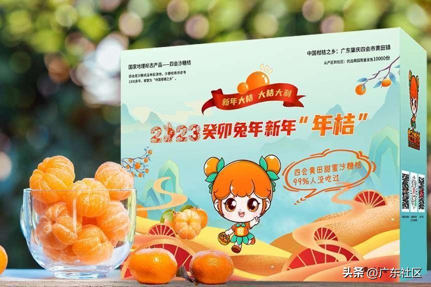 四会黄田沙糖桔采摘园有哪些,四会黄田摘沙糖桔