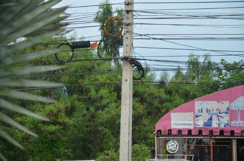 泰国国王是最有钱的吗,世界上最富有的泰国国王