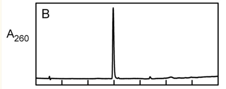 探究移动色氨酸是*霉素黄**抗生素合成黄素酶中内在电荷转移供体应用