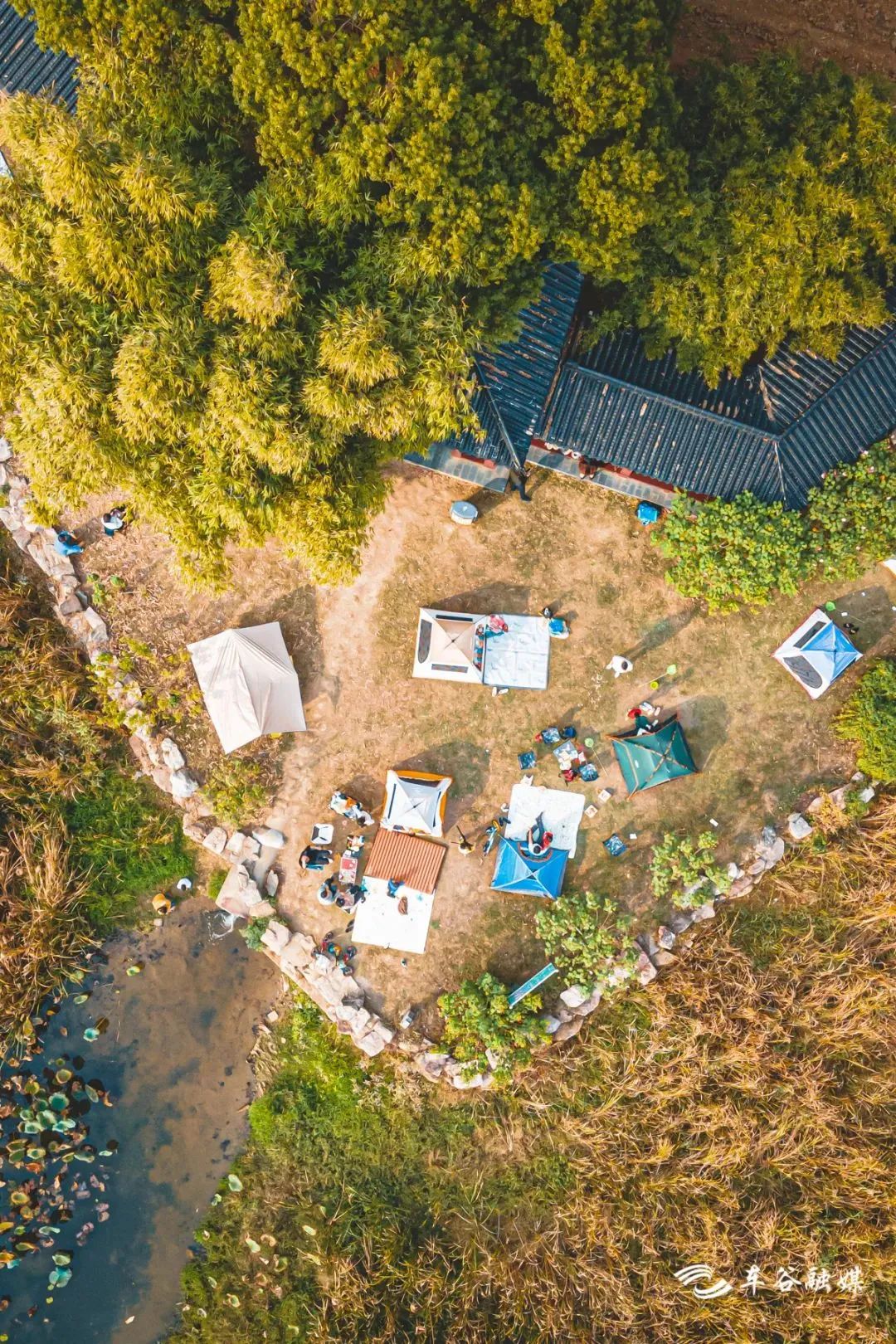 淘金山骑行绿道和东湖骑行绿道,周末绿道骑行一路都是美景