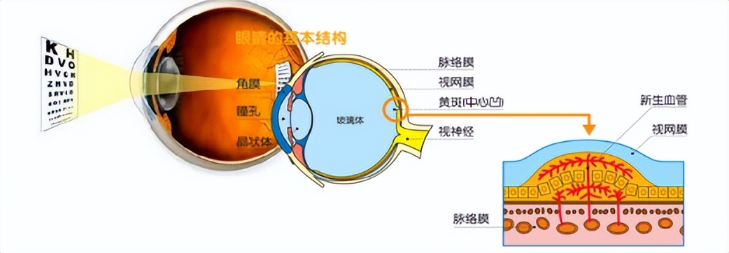 关注近视防控共筑睛彩人生,关注视力健康人人有责