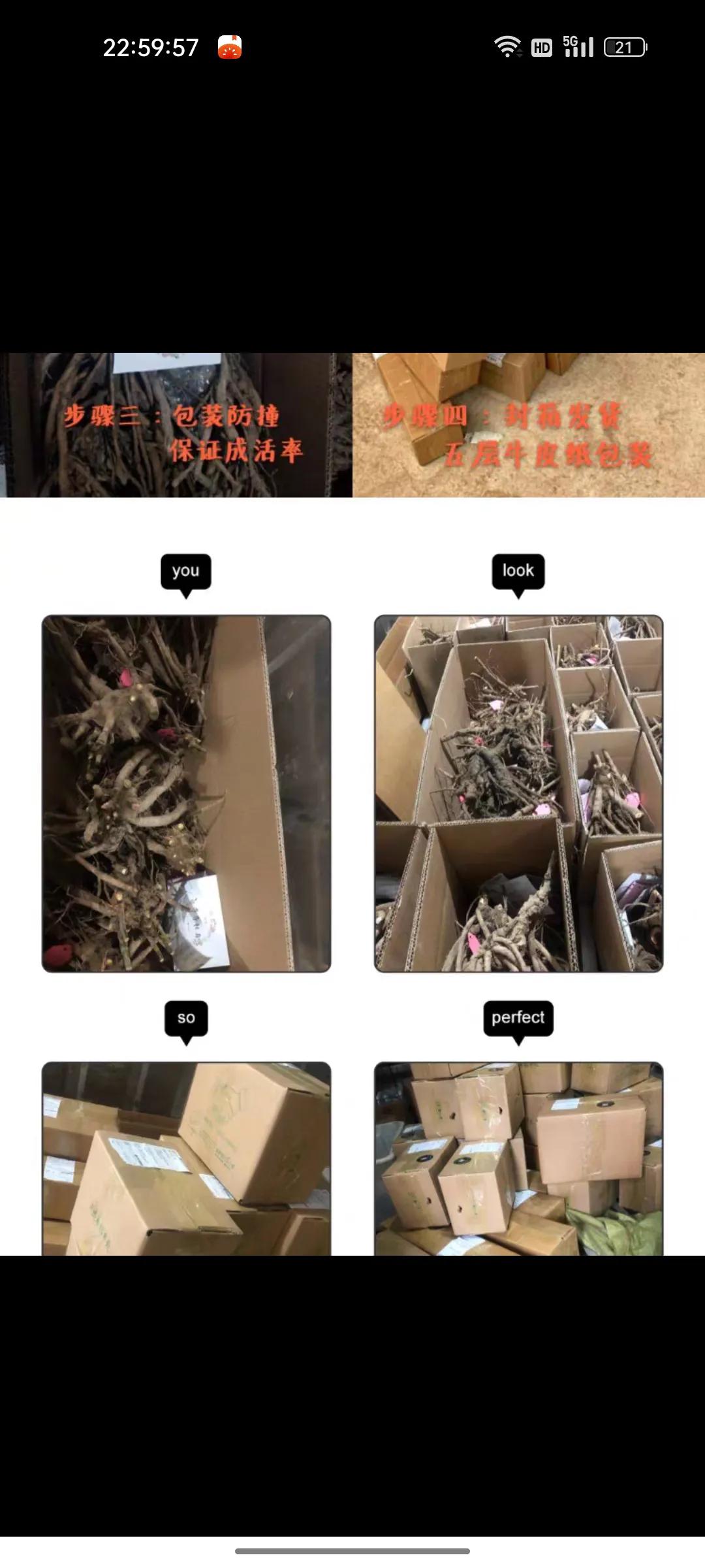 网上卖假花靠谱吗,花卉市场骗人的套路