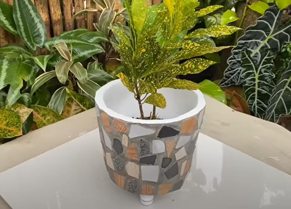 家庭可以用水泥花盆种花吗,在家种花什么花盆最好看