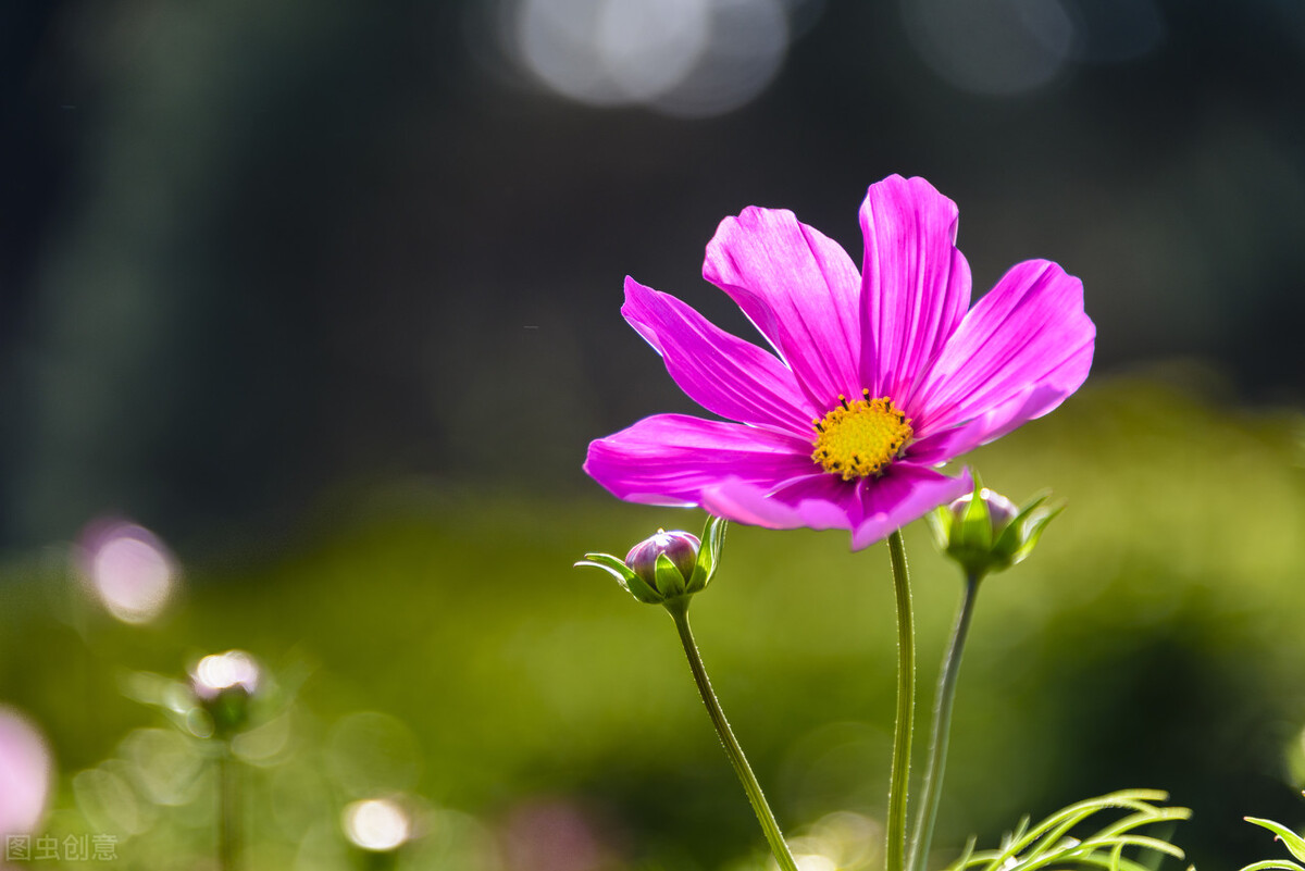 7个省钱抠门小技巧,10条抠门省钱小窍门越抠门越有钱