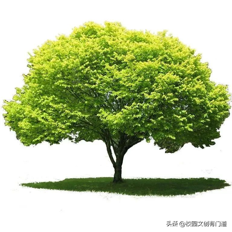 校徽创意设计40年,学校校徽logo设计图片五周年