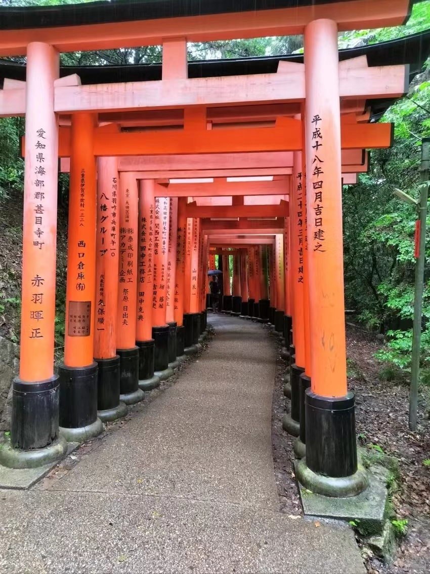 日本北海道旅游攻略,坐游轮去日本旅游攻略
