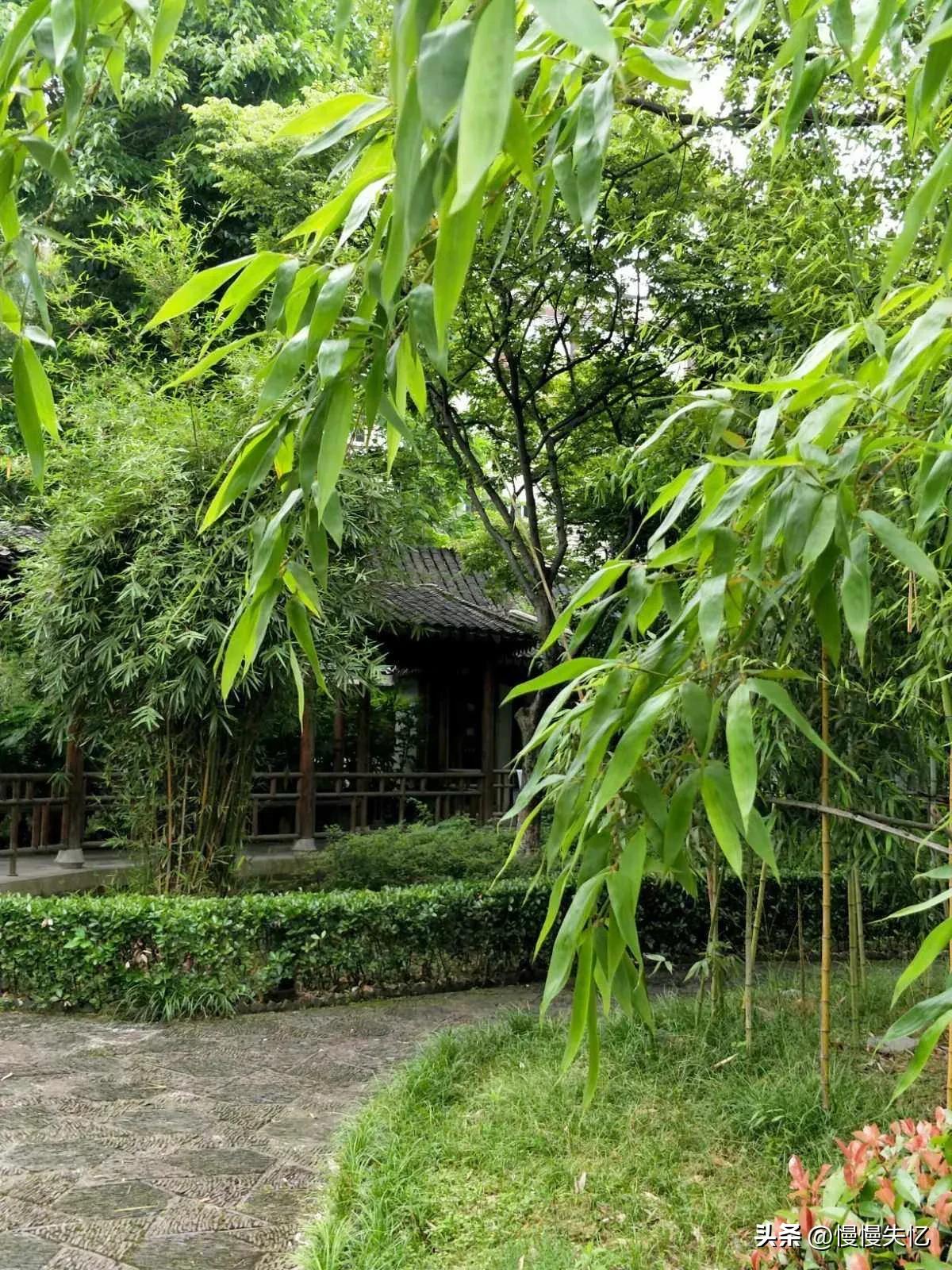 关于初夏美好的诗词佳句,初夏一抹嫣红沐浴暖阳诗词