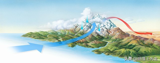 阿拉伯世界乱象根源,金灿荣世界乱象