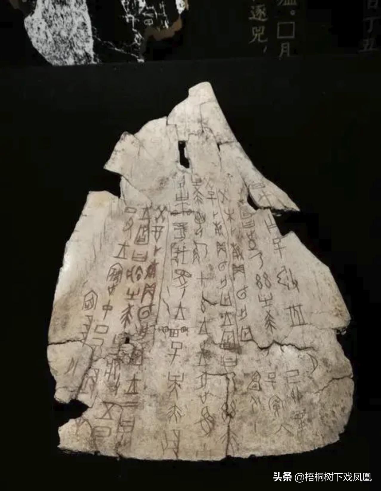 二月初二龙抬头为什么不能剃头,龙抬头这年不能剃头发吗