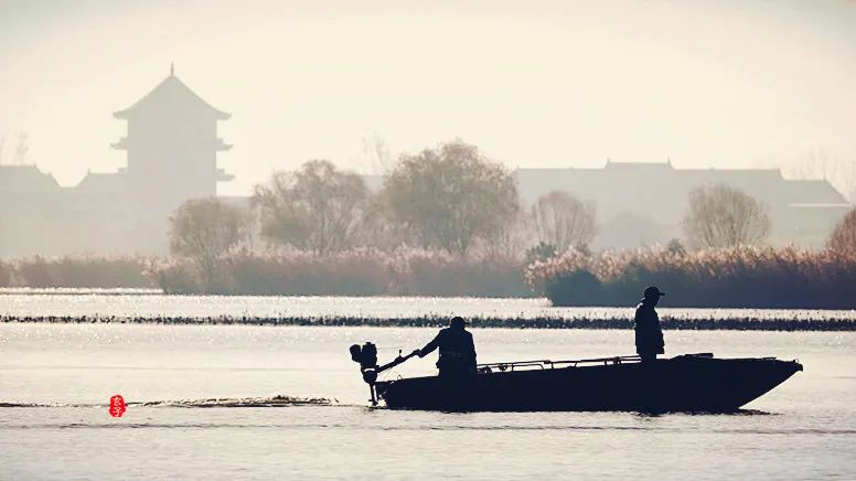 周口淮阳区荷花节在哪里举办了,周口淮阳荷花节开幕式节目单