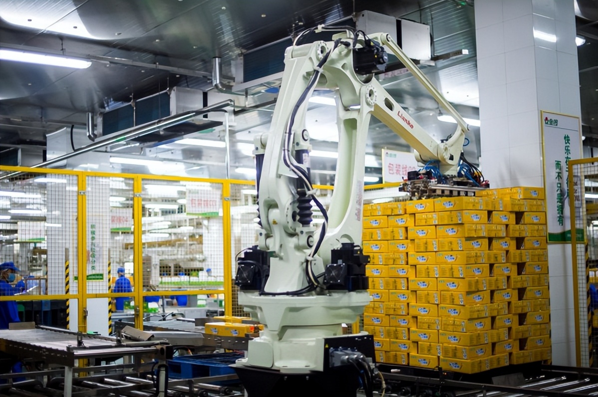 中国品牌价值跃升,金锣哪年跻身中国民营企业500强