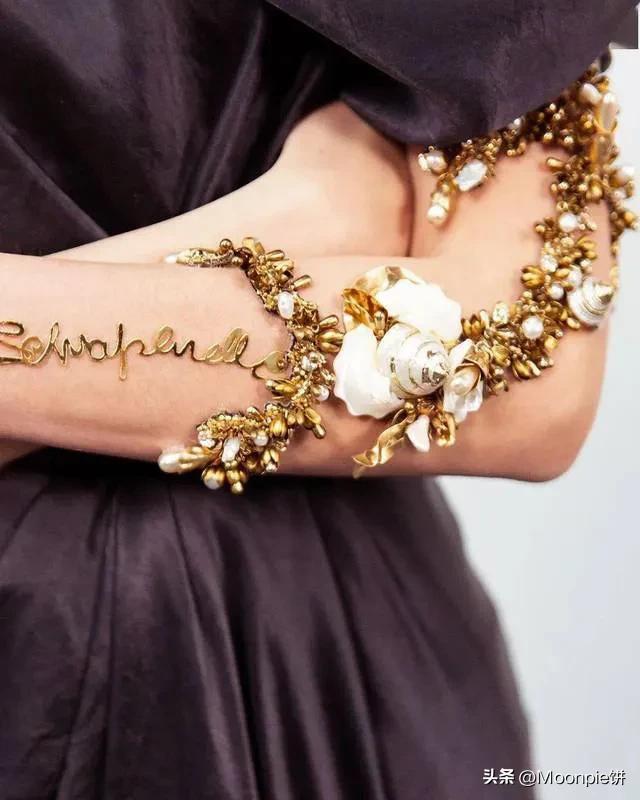 为什么胼胝体会缺失,schiaparelli水平