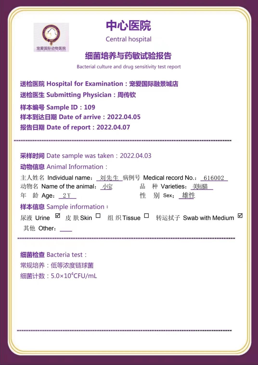 怎么预防猫咪尿路问题,铲屎官必看猫咪小技巧