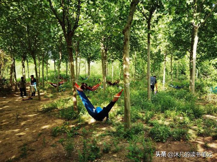 秋天郑州挖野菜的好去处,郑州挖野菜的好去处