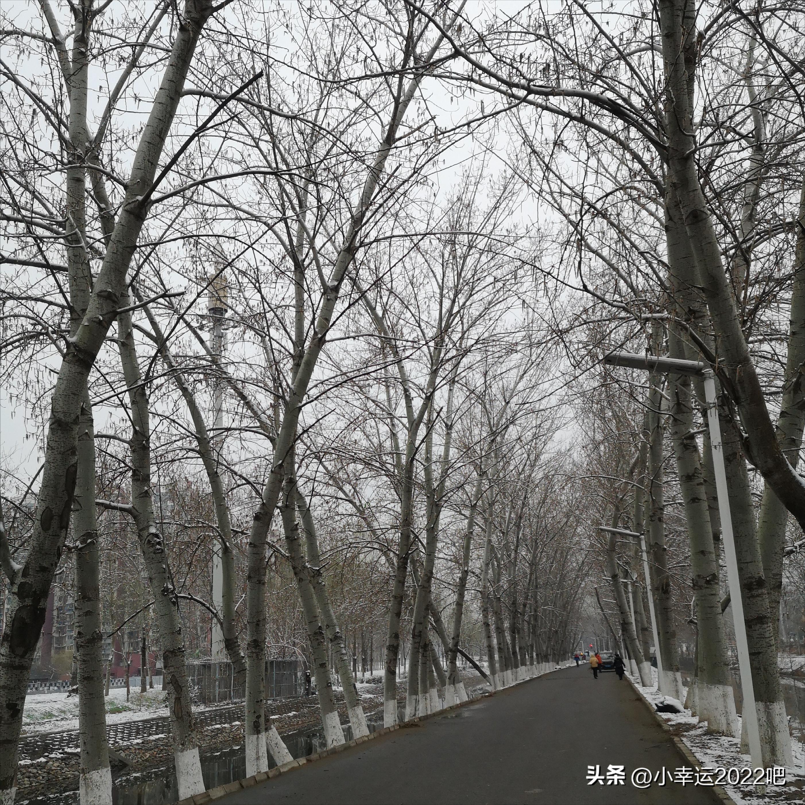 艰难的2022年,困难与机遇并存的视频