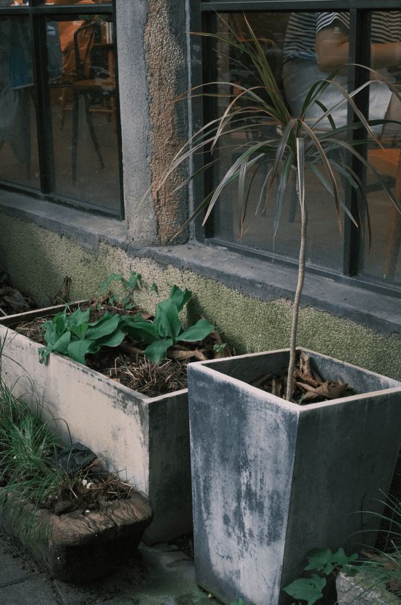 佛山70后老板打造300平书店弧形落地窗美翻了