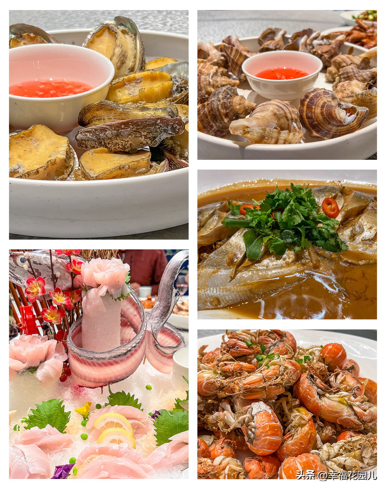 去大连不踩坑的几个景点,大连过年免费景点大全