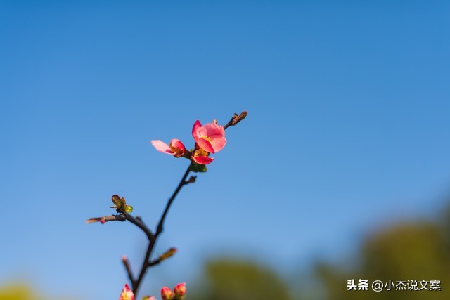 女人这样称呼你说明是真的喜欢你,女生用这六种方式称呼你说明喜欢