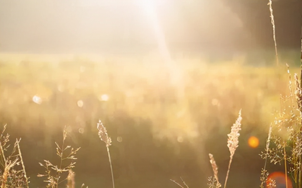 舜禹尧三帝叫什么名字,尧帝和舜帝为何受人尊敬