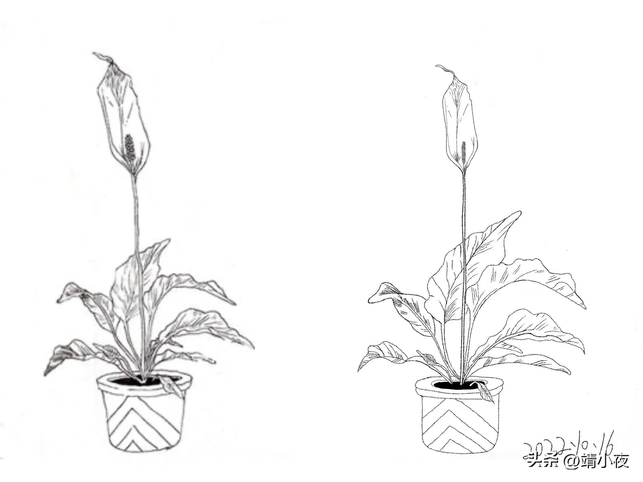 成长记录平台,今日成长感悟总结