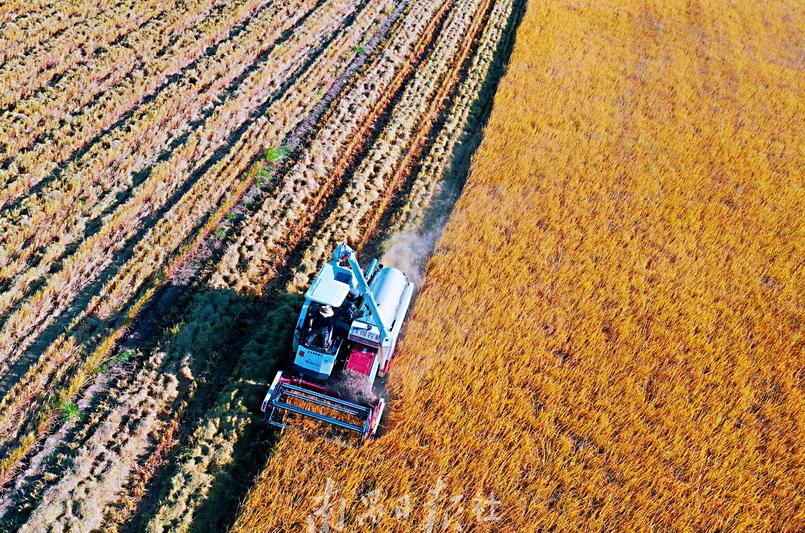 南昌的秋天文案,南昌的秋天闪闪发光