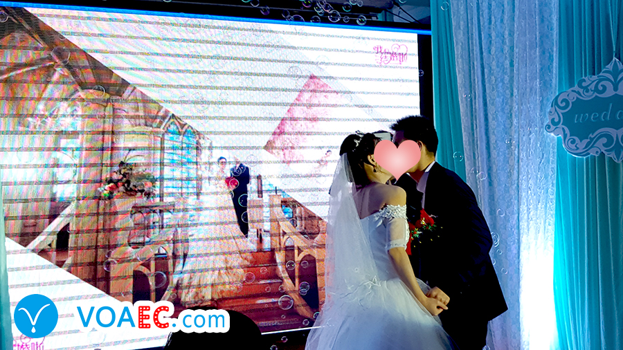 Dogdoesnteatdog是什么意思？是“狗不吃狗”？