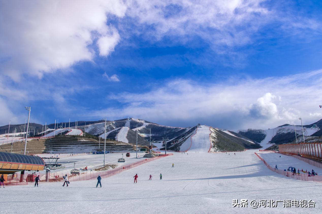 廊洽会项目,聚焦创业项目