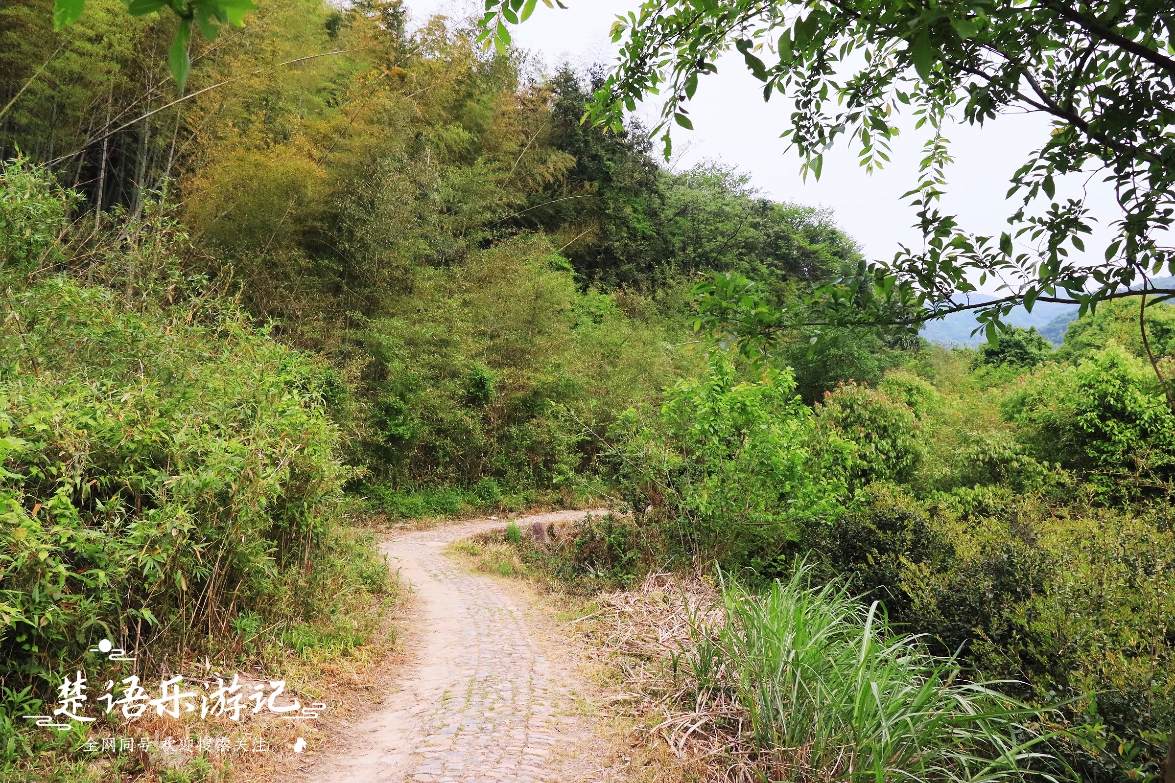宁波东钱湖古村网红打卡地,宁波东钱湖湿地秘境