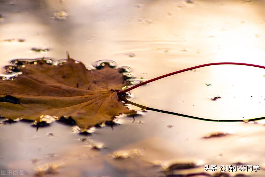 好好分手学会走出失恋阴霾,走出失恋自愈的方法