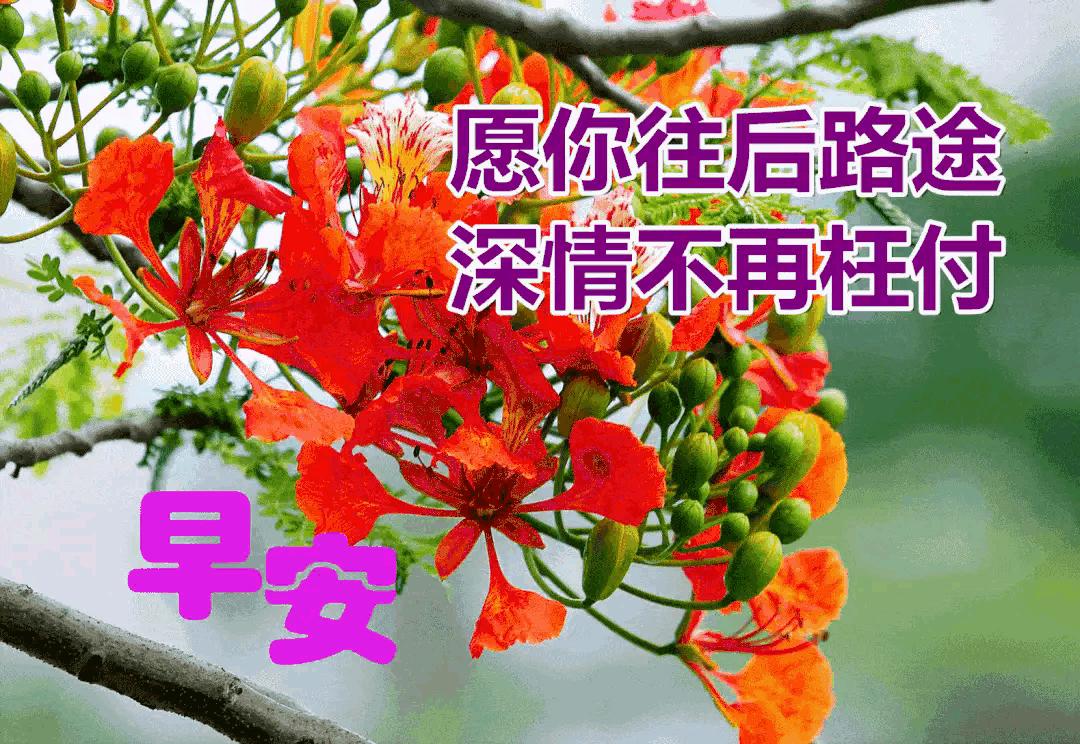 2023年农历是什么年癸卯年,农历2023年癸卯年正月结婚吉日