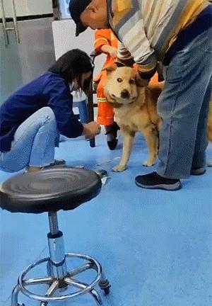 也别自作多情冬天一般朋友见面都说自己手冷真行动了还容易闹笑话