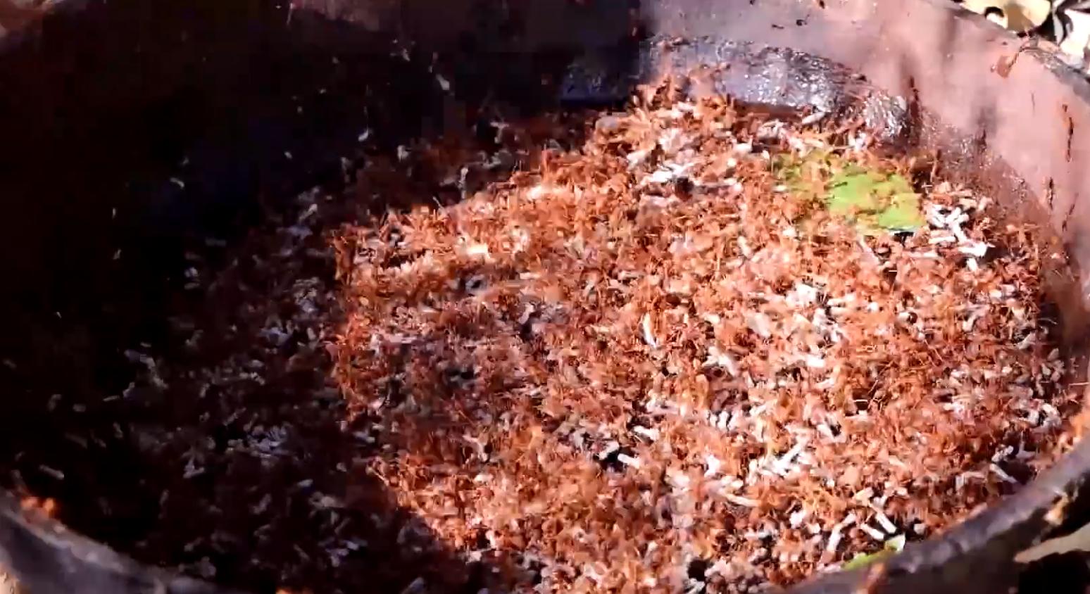 泰国蚂蚁大餐,泰国蚂蚁蛋的吃法