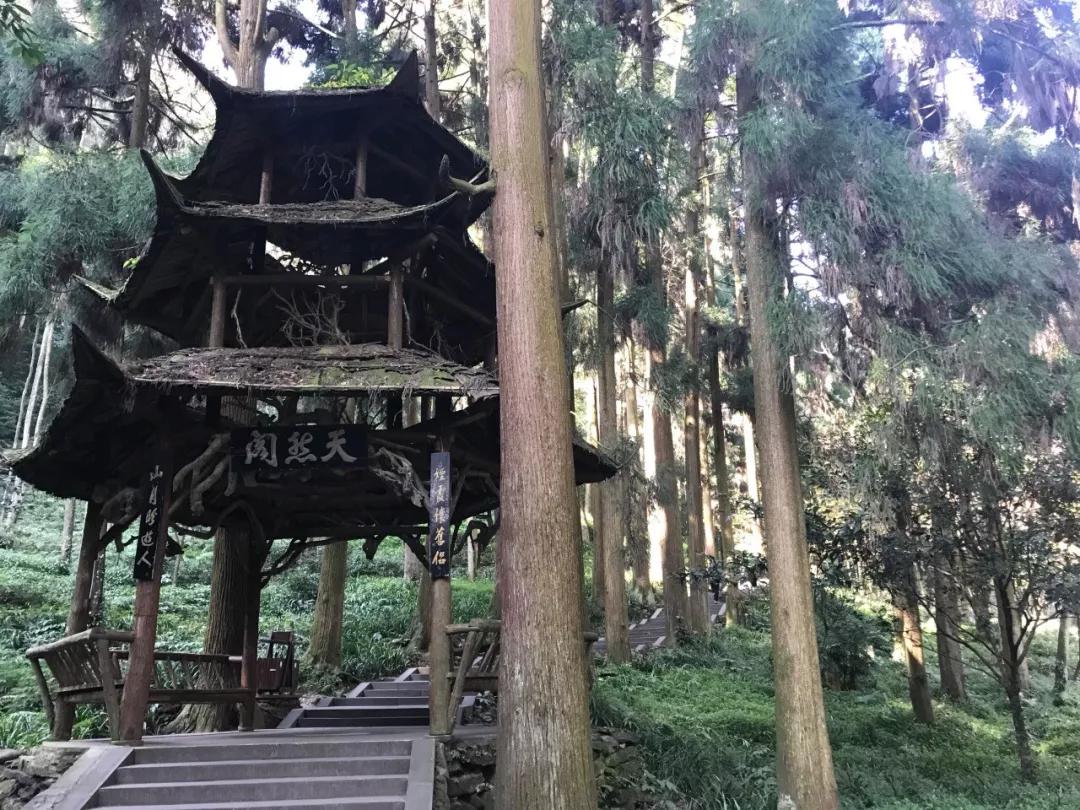 拜水都江堰问道青城山是诗词吗,拜水都江堰问道青城山完整版