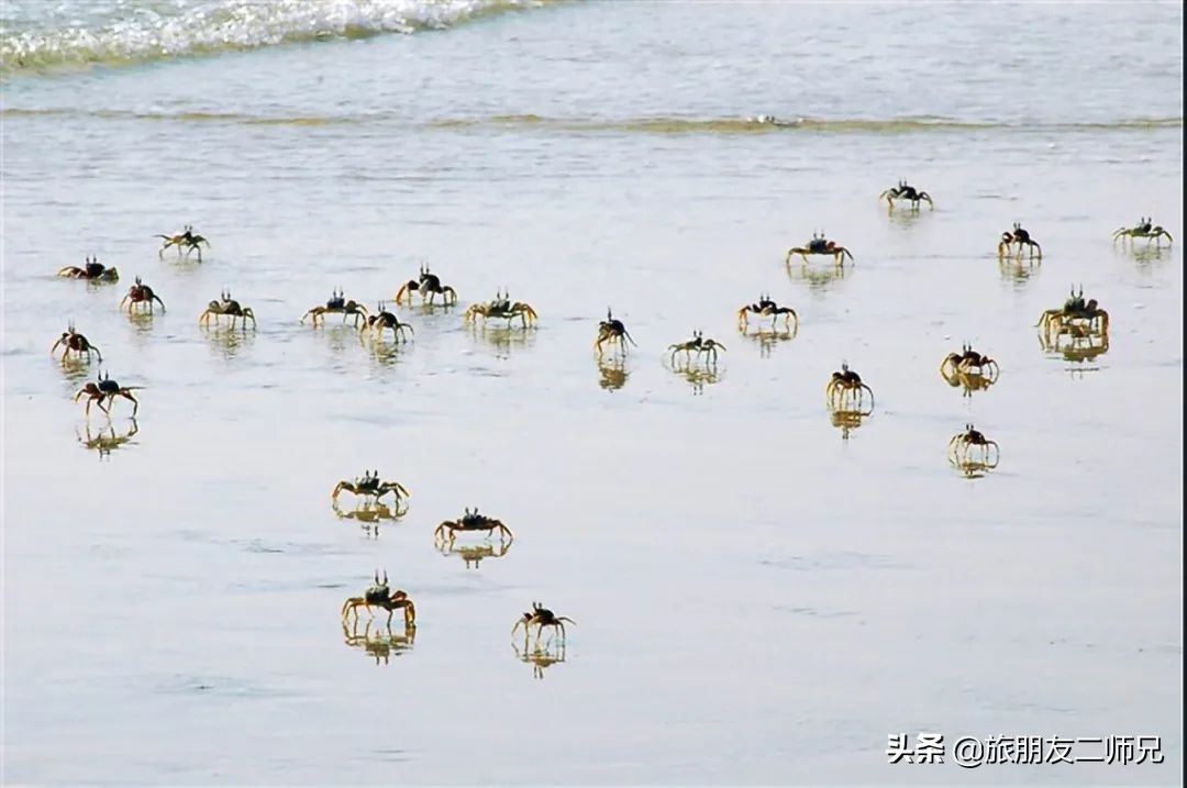 台山三日游自由行攻略,广州到江门下川岛旅游攻略