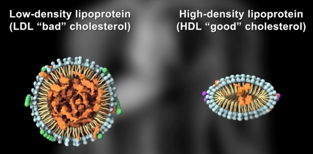 益生菌的简单入门指南,婴幼儿益生菌应用指南
