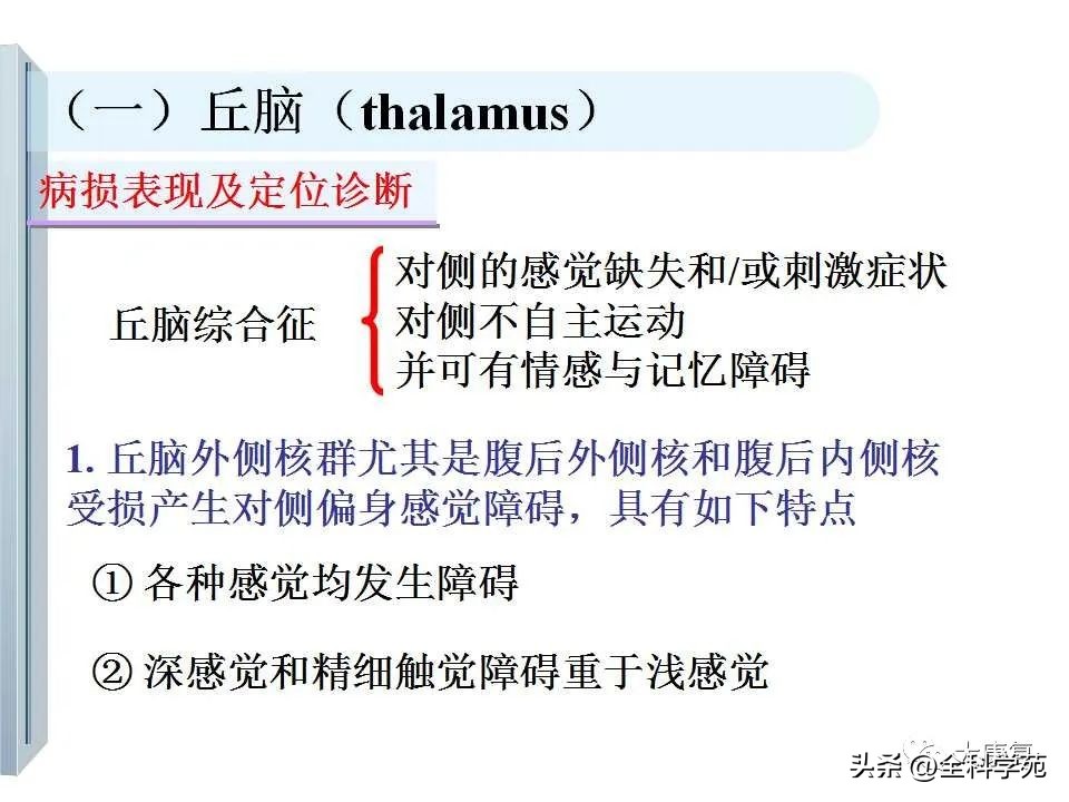 神经系统的影像与解剖定位,最全神经解剖图