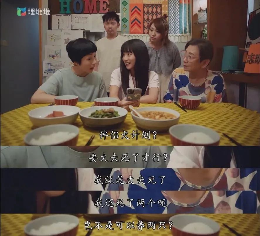 TVB拍生活流，至今没有代餐