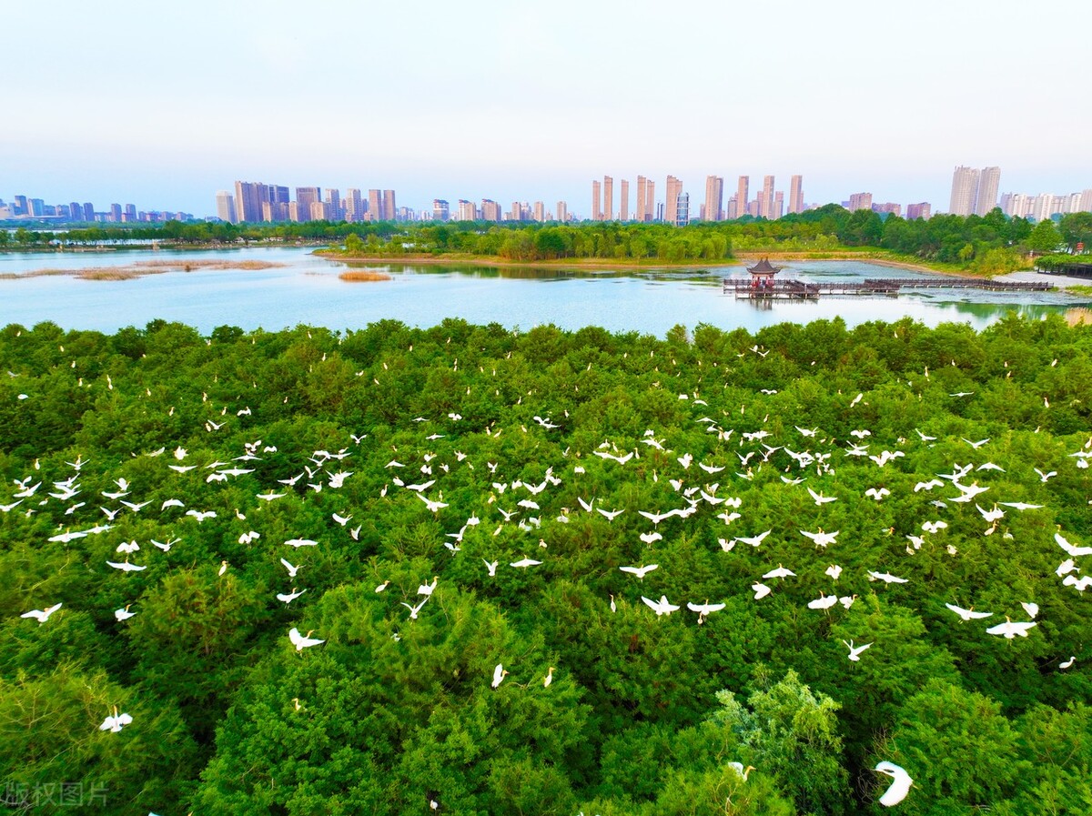 晨雾缭绕景色迷人,晨雾中看晶莹剔透的霜花